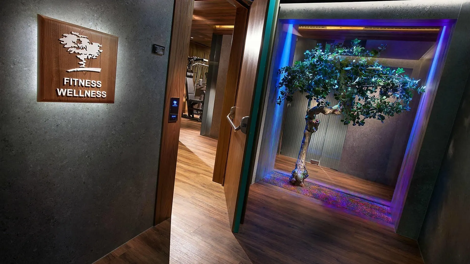Hotel Cavour Milan